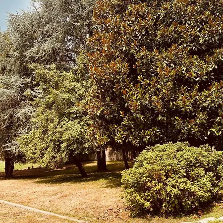 Appartement Babi Cison di Valmarino